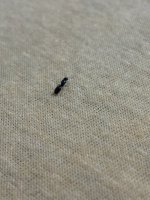 IMG_4125.jpeg