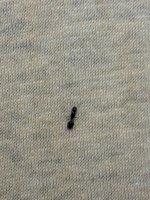 IMG_4124.jpeg