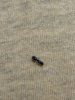 IMG_4123.jpeg