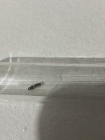 IMG_8922.jpeg