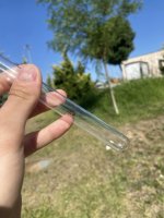 IMG_8031.jpeg