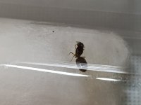 IMG_20250714_185024.jpg