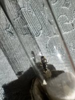 IMG_2027.jpeg