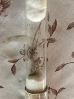 IMG_2059.jpeg