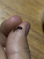 IMG_4176.jpeg