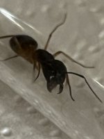 IMG_2940.jpeg