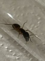 IMG_2939.jpeg
