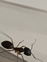 IMG_2935.jpeg