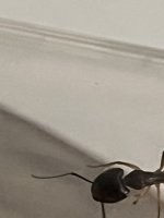 IMG_2933.jpeg