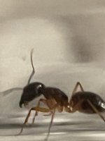 IMG_2928.jpeg