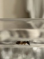IMG_2926.jpeg