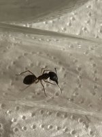 IMG_2916.jpeg