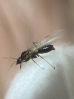 IMG_5099.jpeg