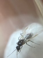 IMG_5097.jpeg