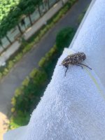 35f11c57-f5da-46cc-abde-cd500b6dbb39.jpeg