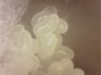 20250715-101253-985.jpg