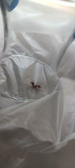 IMG_20250715_120237.jpg