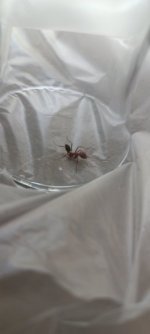 IMG_20250715_120235.jpg