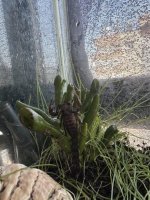 IMG_8963.jpeg