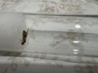 IMG_5855.jpeg