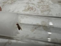 IMG_5854.jpeg