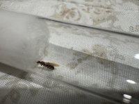 IMG_5853.jpeg