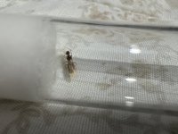 IMG_5850.jpeg