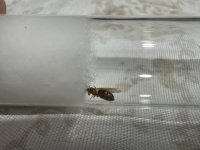 IMG_5852.jpeg