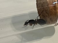 IMG_2947.jpeg