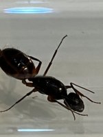 IMG_2944.jpeg