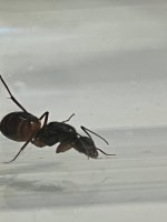IMG_2945.jpeg