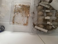 IMG_20250716_084044.jpg