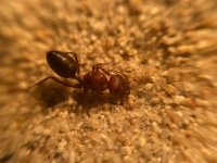 IMG_0584.jpeg