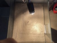 IMG_0590.jpeg