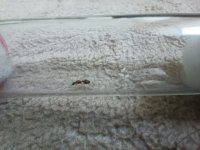 IMG_20250716_174904.jpg