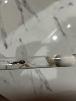 IMG_3461.jpeg