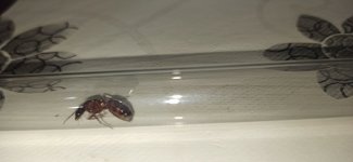 IMG_20250717_002041.jpg