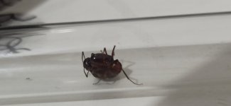 IMG_20250717_001934.jpg