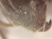 20250717-200454-181.jpg