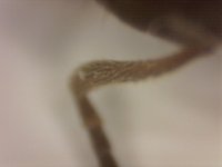20250717-200326-705.jpg