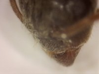20250717-201645-212.jpg