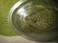 IMG_20250717_221904.jpg