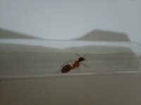 IMG_20250717_222502.jpg