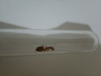 IMG_20250717_222503.jpg