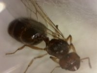 20250717-233709-319.jpg