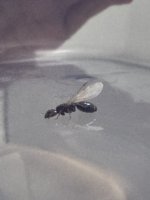 IMG_7827.jpeg