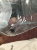 8811EACA-3F0F-474B-AD9E-319D11CA141F.jpeg