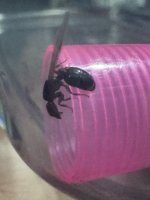 IMG_7855.jpeg