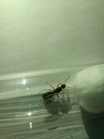 IMG_20250717_234155.jpg