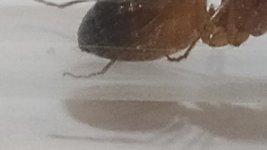 IMG_20250718_020404.jpg